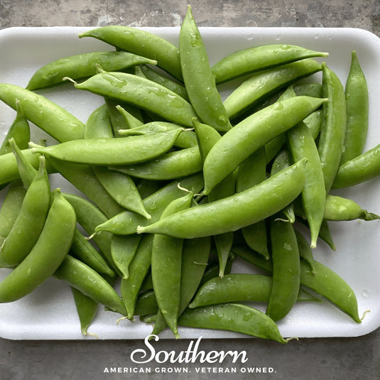 Sugar Snap Peas – 20 Seeds