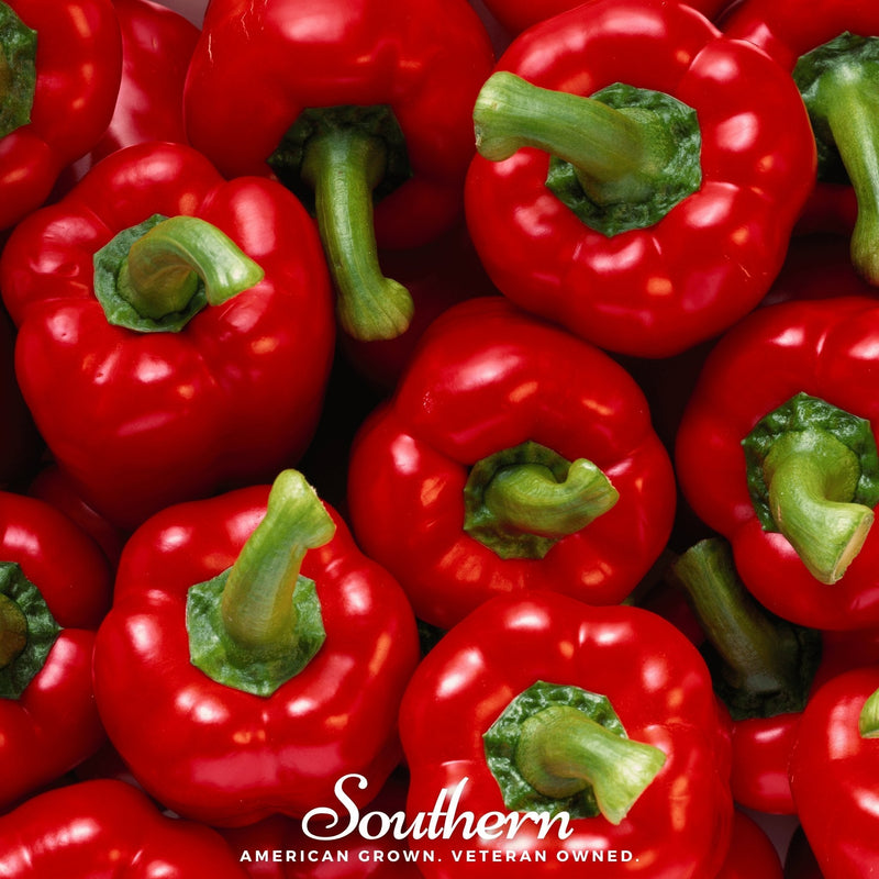 Load image into Gallery viewer, Big Red Sweet Bell Pepper – 30 Seeds
