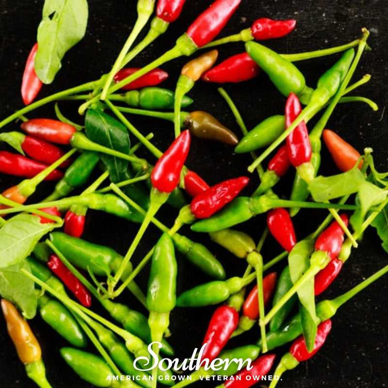 Load image into Gallery viewer, Birds Eye Chili Pepper – 30 Seeds
