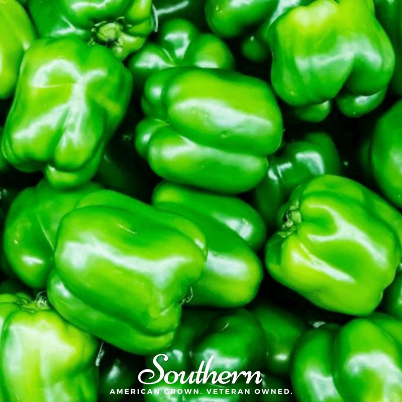 Load image into Gallery viewer, Cal Wonder Sweet Bell Pepper – 30 Seeds
