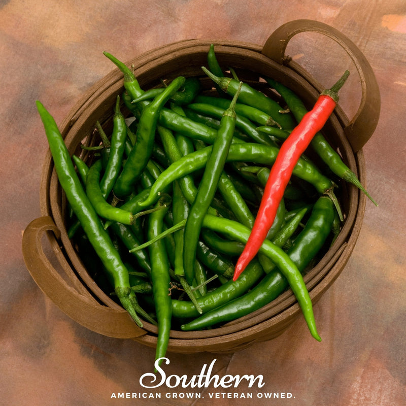 Load image into Gallery viewer, Cayenne Long Slim Pepper – 30 Seeds
