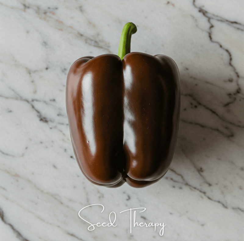 Load image into Gallery viewer, Chocolate Beauty Bell Pepper – 30 Seeds
