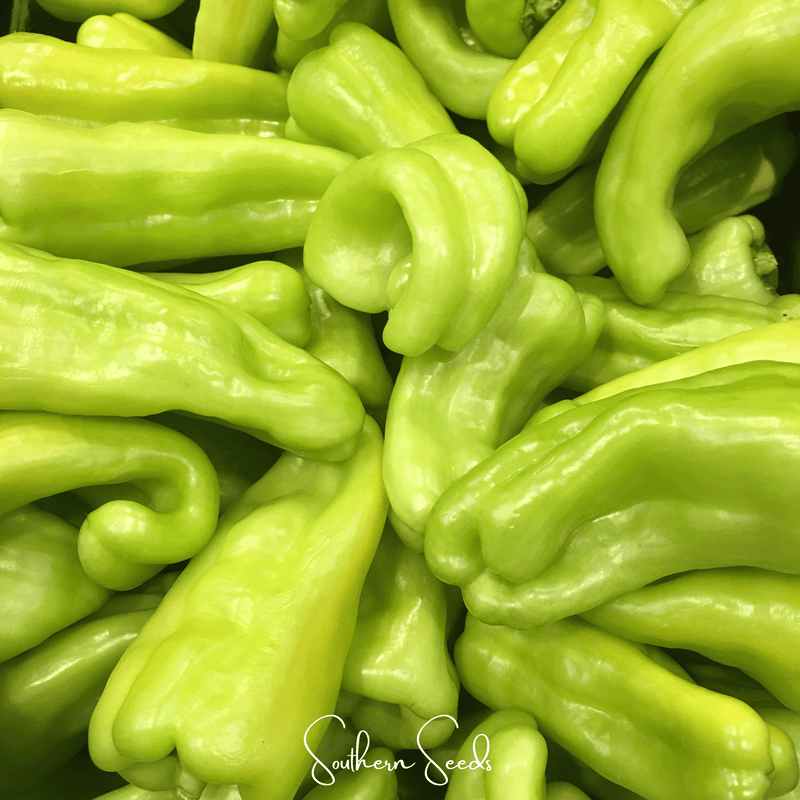 Load image into Gallery viewer, Cubanelle Sweet Pepper – 25 Seeds
