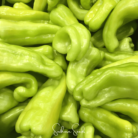 Cubanelle Sweet Pepper – 25 Seeds, additional product view 2