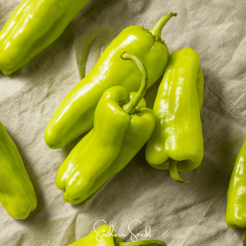 Cubanelle Sweet Pepper 25 Seeds