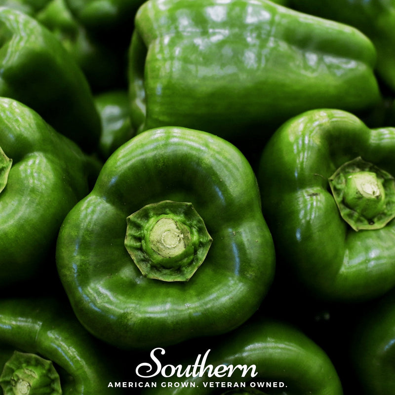 Load image into Gallery viewer, Emerald Giant Sweet Bell Pepper – 30 Seeds
