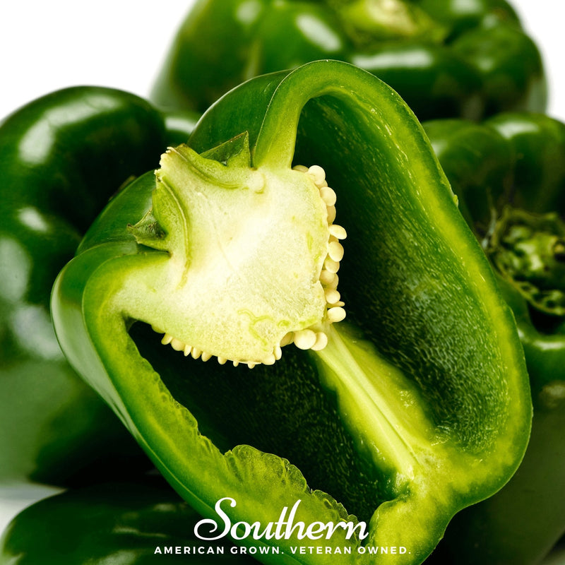 Load image into Gallery viewer, Emerald Giant Sweet Bell Pepper – 30 Seeds
