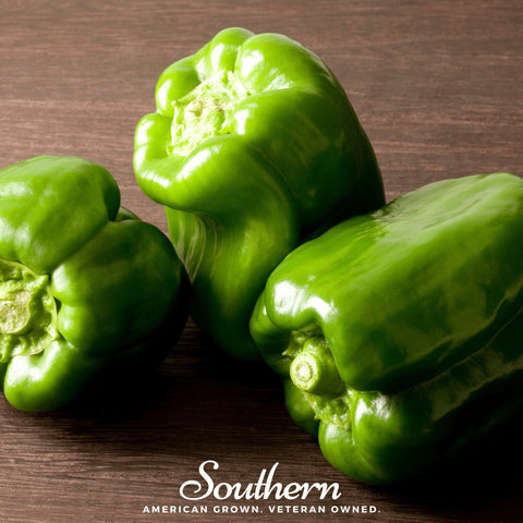 Emerald Giant Sweet Bell Pepper 30 Seeds