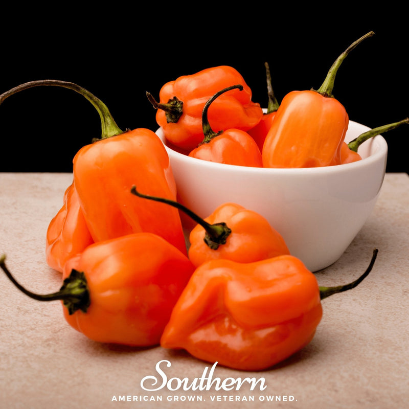 Load image into Gallery viewer, Orange Habanero Pepper – 30 Seeds
