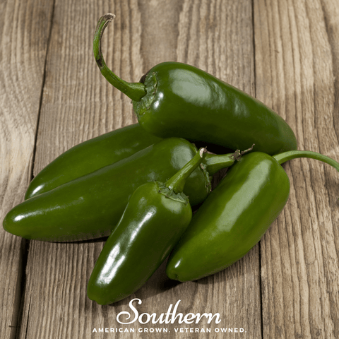 Jalapeño Early Pepper – 25 Seeds, additional product view 2