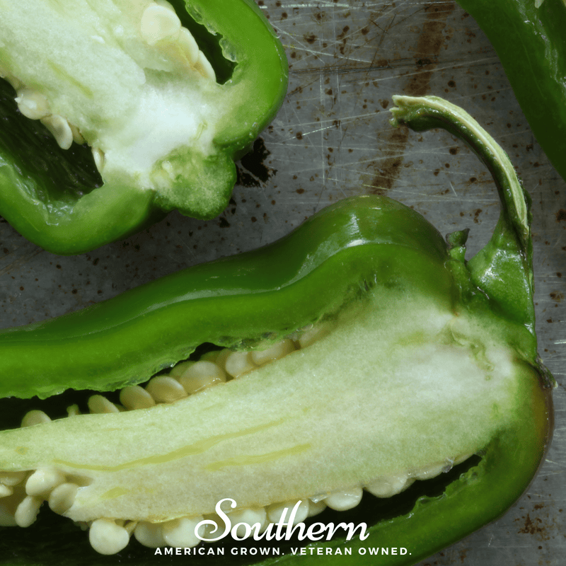 Load image into Gallery viewer, Jalapeño Early Pepper – 25 Seeds
