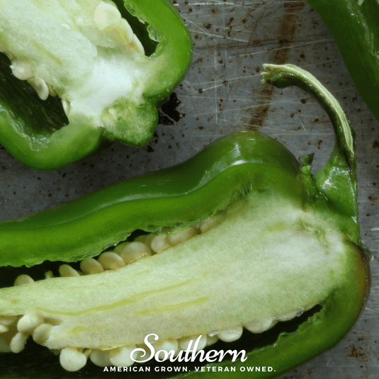 Jalapeño Early Pepper – 25 Seeds