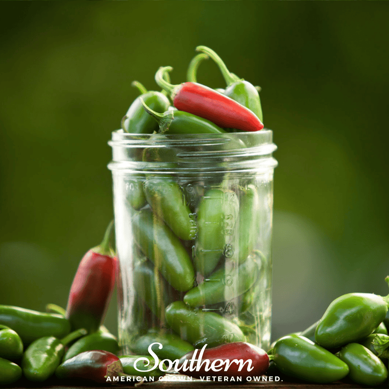 Load image into Gallery viewer, Jalapeño Early Pepper – 25 Seeds
