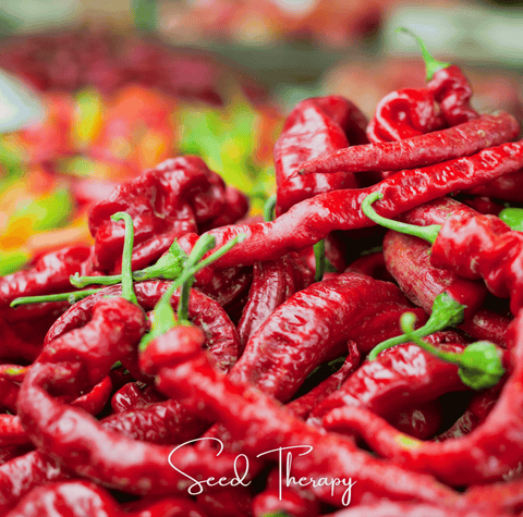 Jimmy Nardello's Pepper – 25 Seeds, additional product view 2