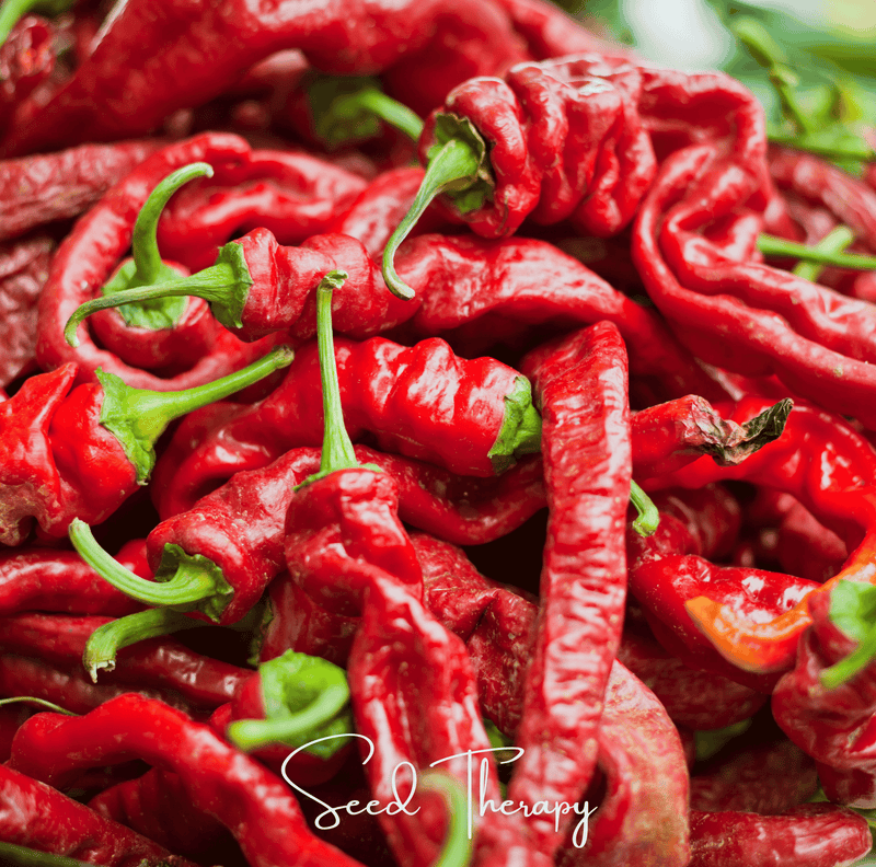 Load image into Gallery viewer, Jimmy Nardello's Pepper – 25 Seeds
