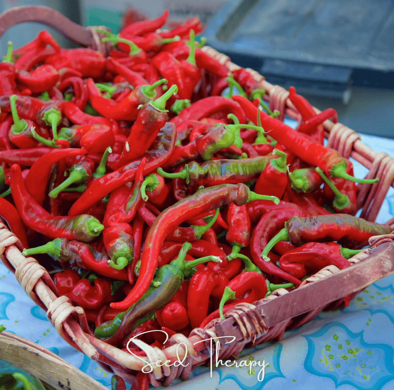 Load image into Gallery viewer, Jimmy Nardello's Pepper – 25 Seeds

