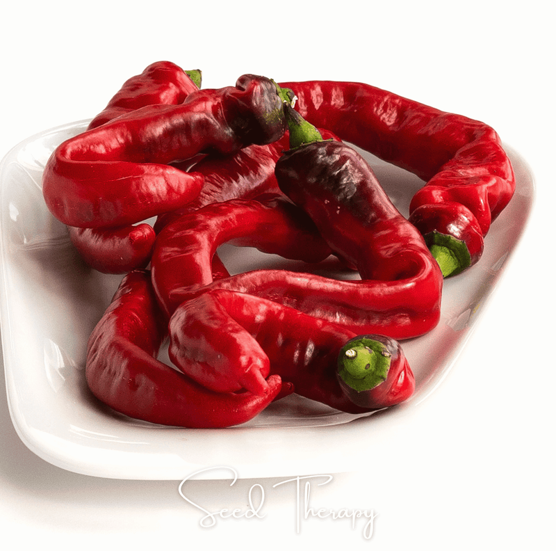 Load image into Gallery viewer, Jimmy Nardello's Pepper – 25 Seeds

