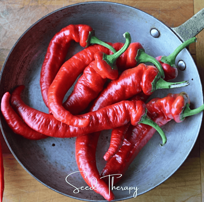 Load image into Gallery viewer, Jimmy Nardello's Pepper – 25 Seeds
