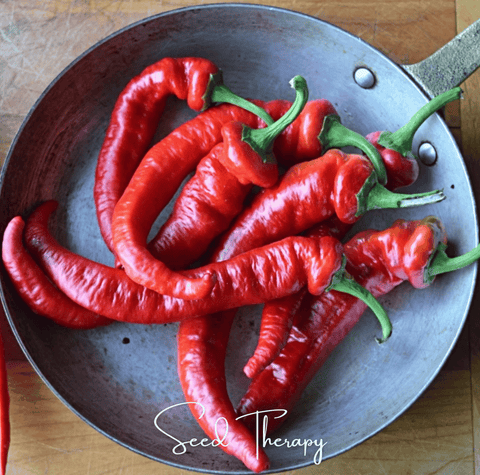 Jimmy Nardello's Pepper 25 Seeds