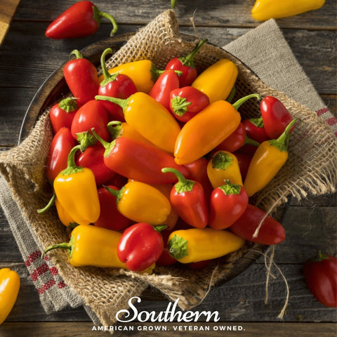 Lunchbox Sweet Pepper seeds package, 25 count, GrowTime Garden Supply