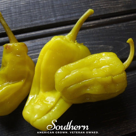 Pepperoncini Pepper 25 Seeds