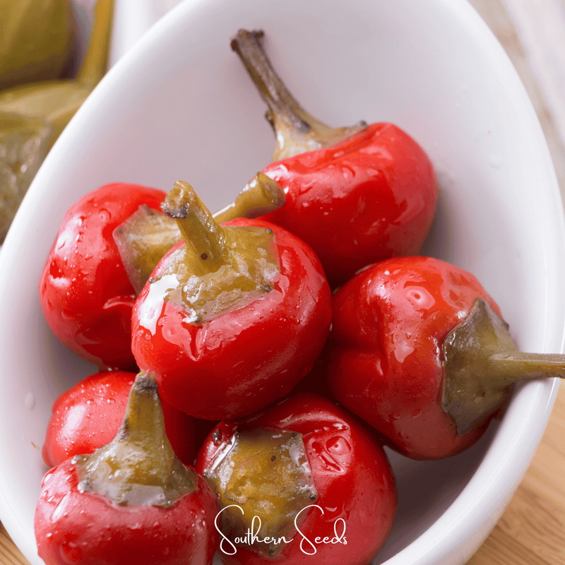 Load image into Gallery viewer, Pimento Sweet Pepper – 25 Seeds
