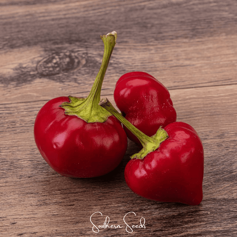 Load image into Gallery viewer, Pimento Sweet Pepper – 25 Seeds
