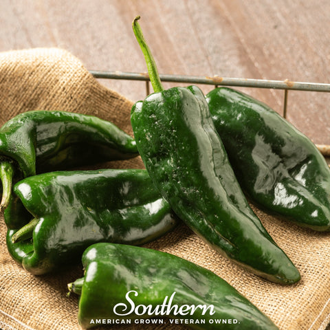 Poblano Ancho Grande Pepper seeds package, 25 count, GrowTime Garden Supply