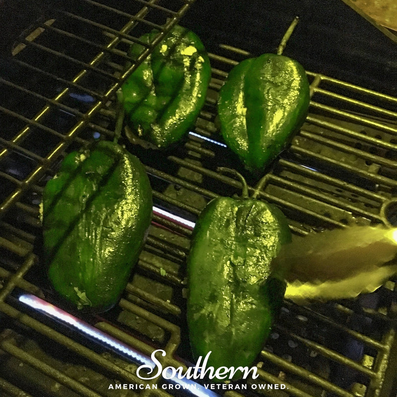 Load image into Gallery viewer, Poblano Ancho Grande Pepper – 25 Seeds
