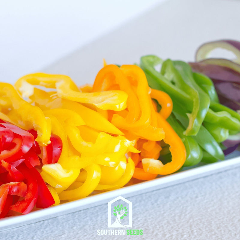 Load image into Gallery viewer, Rainbow Bell Sweet Pepper – 25 Seeds
