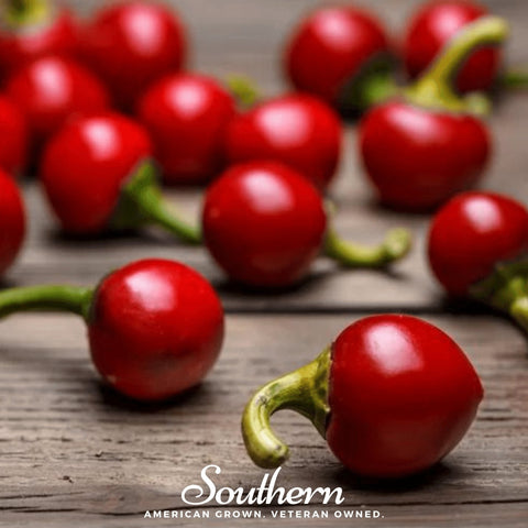 Red Hot Cherry Pepper 25 Seeds