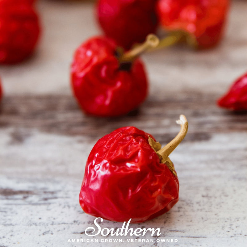 Load image into Gallery viewer, Red Hot Cherry Pepper – 25 Seeds

