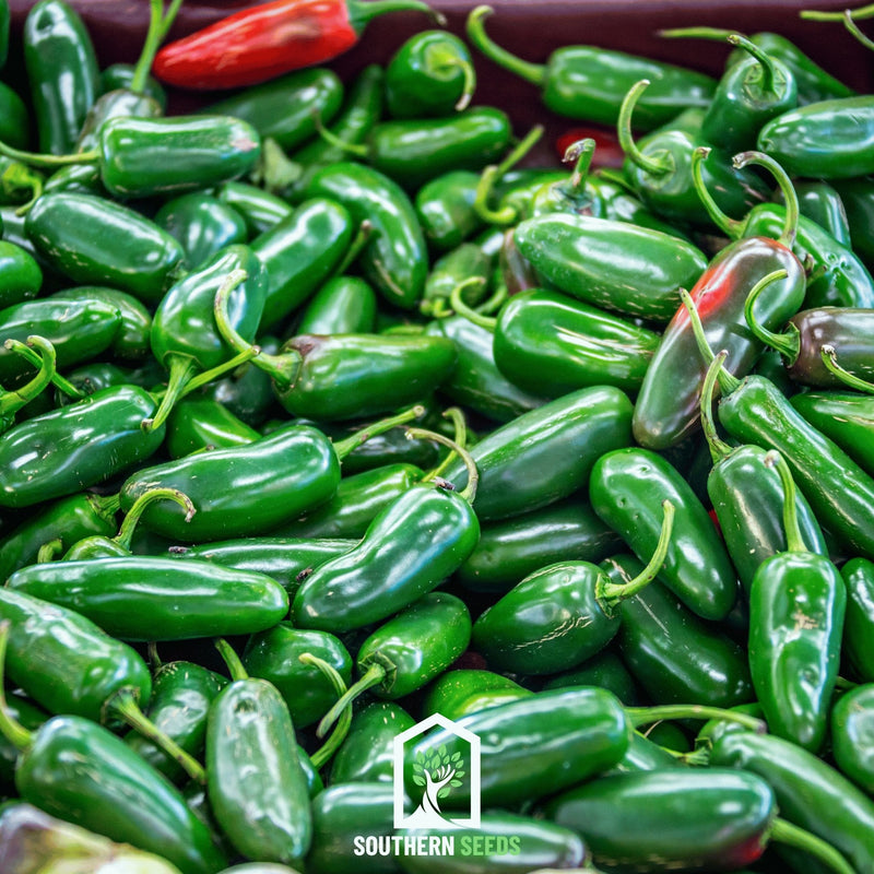 Load image into Gallery viewer, Pepper Seed Collection – 6 Essential Heirloom Peppers
