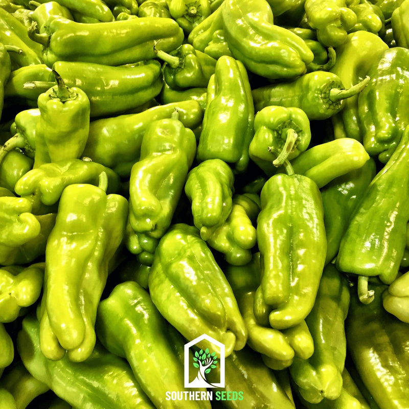 Load image into Gallery viewer, Pepper Seed Collection – 6 Essential Heirloom Peppers
