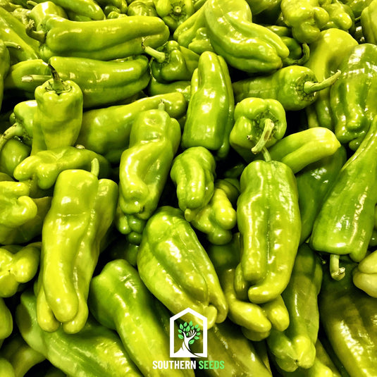 Pepper Seed Collection – 6 Essential Heirloom Peppers
