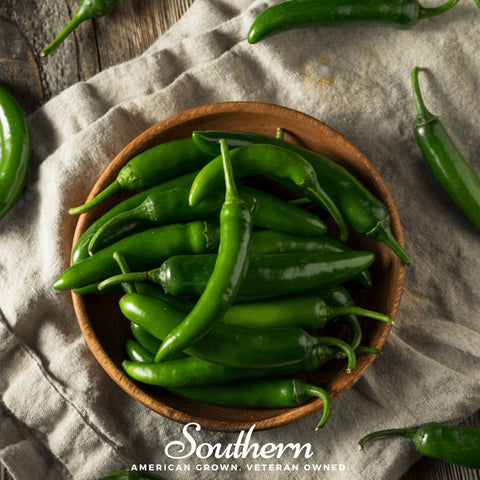 Serrano Pepper 25 Seeds
