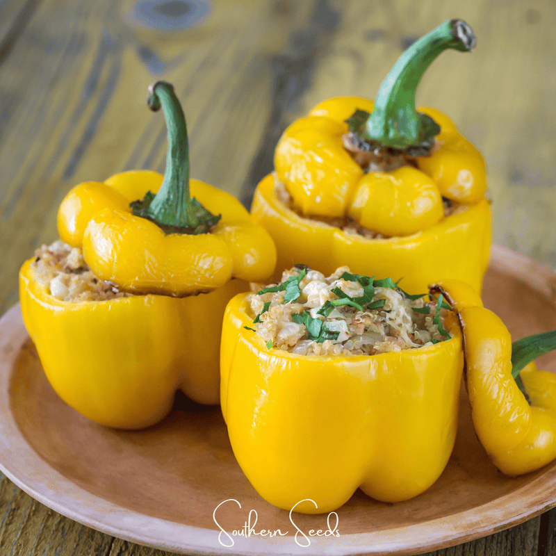 Load image into Gallery viewer, Sunbright Bell Pepper – 30 Seeds
