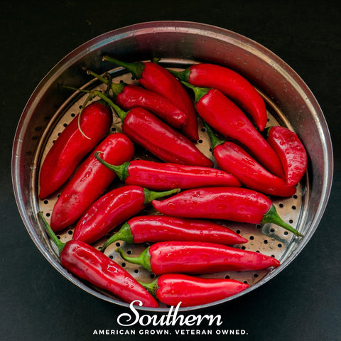 Tabasco Pepper 50 Seeds