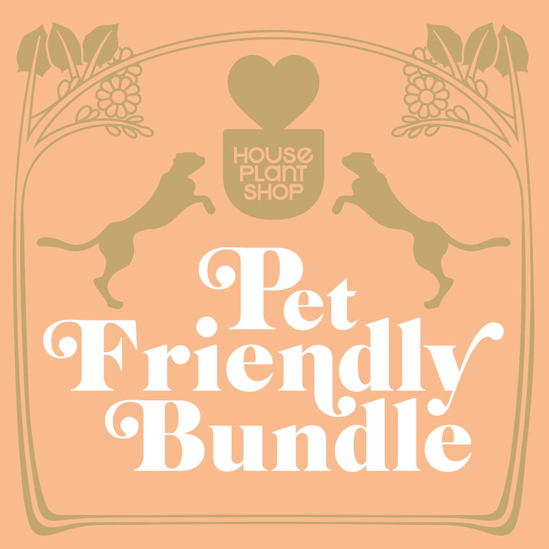 Load image into Gallery viewer, Pet Friendly Variety Bundle
