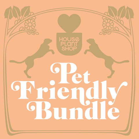 Pet Friendly Variety Bundle, additional product view 2