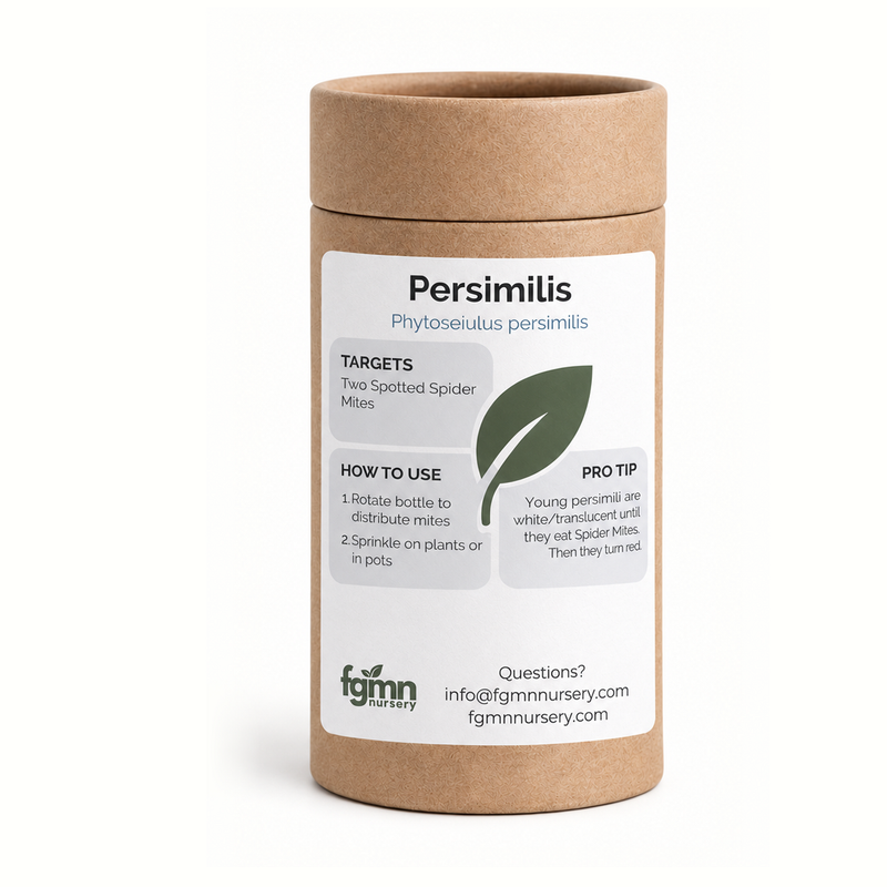 Load image into Gallery viewer, Phytoseiulus persimilis
