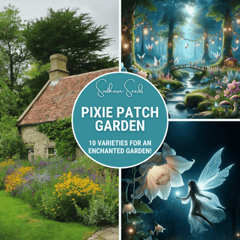 Pixie Patch Seed Collection 10 Enchanted Varieties