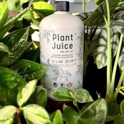 Elm Dirt Plant Juice bottle
