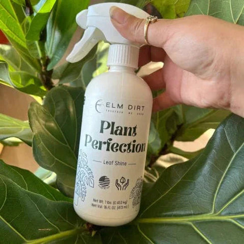 Plant Perfection, additional product view 2