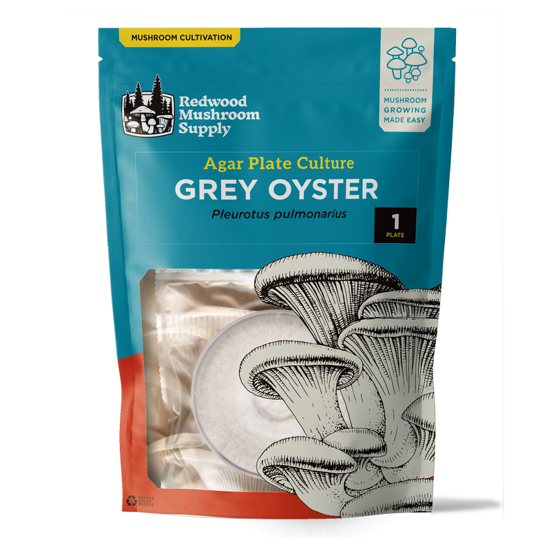 Load image into Gallery viewer, Grey Oyster Plate Culture
