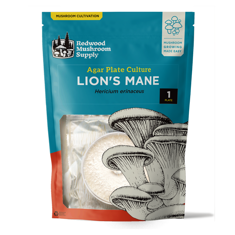 Load image into Gallery viewer, Lion's Mane Plate Culture
