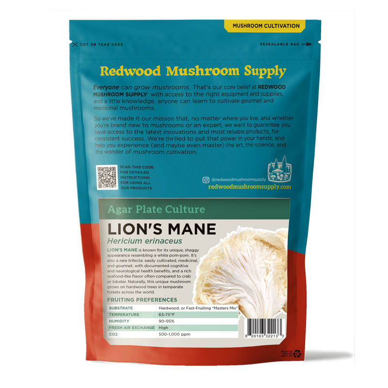 Load image into Gallery viewer, Lion's Mane Plate Culture
