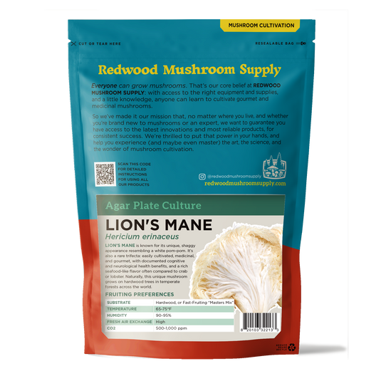 Lion's Mane Plate Culture