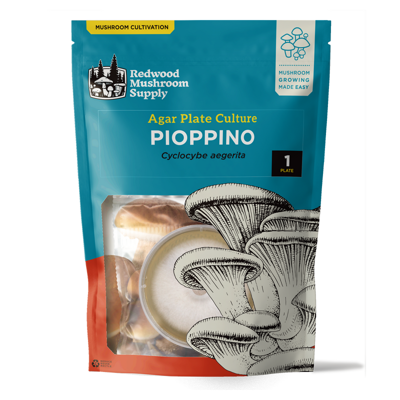 Load image into Gallery viewer, Pioppino Plate Culture
