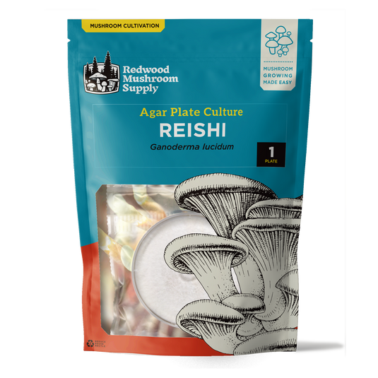Reishi Plate Culture